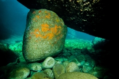 2010-04-22_LA PLAGE-5