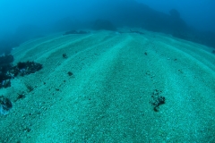 2013-09-26_EL_MOLINO_VERDE-5