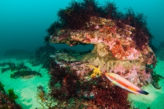 2014-08-05_LA_PLAGE-2