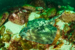 2016-05-16_CAP_BIOSNAR-1