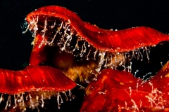 2010-08-31_CASETAS-2
