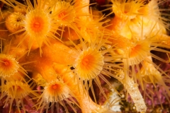 2011-07-25_LE_MUR-1