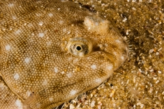 2012-08-09_BAIE-DES-COCHONS-15