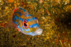 2013-05-04_LE_CANYON-18