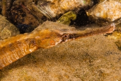 2013-05-07_ROULEV-5