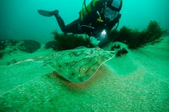 2013-06-14_CAP_BIOSNAR-27