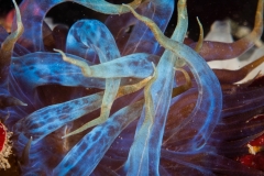 2013-08-24_LE_MUR-1