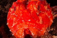 2013-09-25_LOS_PINOS-3