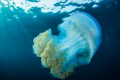 2013-09-26_EL_MOLINO_VERDE-17