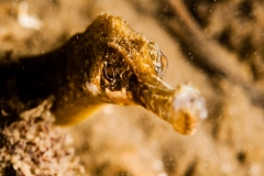2014-05-15_PONTON_FEDE-6