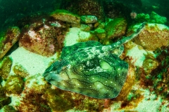 2016-05-16_CAP_BIOSNAR-1